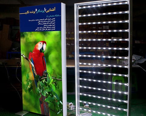 تابلو-فریم-لس تابلو-فریم-لس طوطی